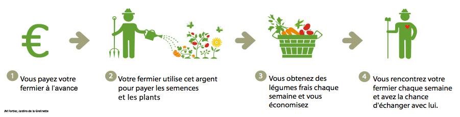 Amap Le Jardin Lamponais